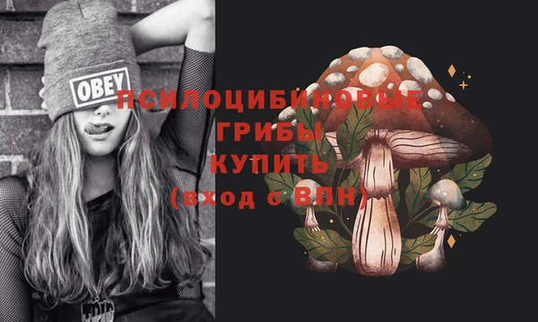 соль курить ск Фёдоровский