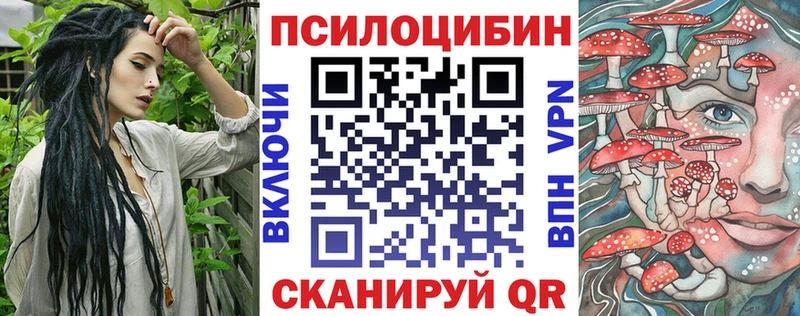 Галлюциногенные грибы Psilocybine cubensis  закладки  Рубцовск 