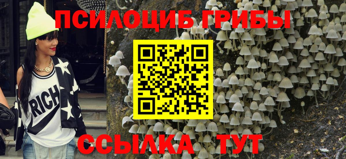 Галлюциногенные грибы Cubensis  Вход с VPN  Рубцовск  Галлюциногенные грибы Magic Shrooms 